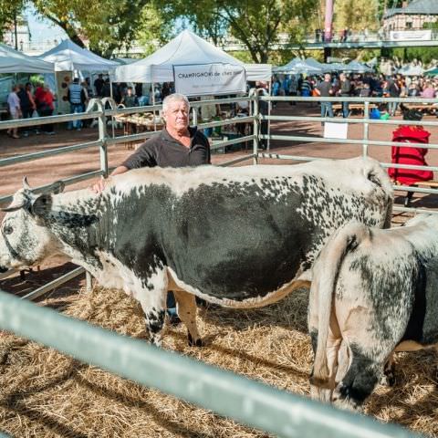 Marché Paysan - SARREGUEMINES - 16 octobre 2016