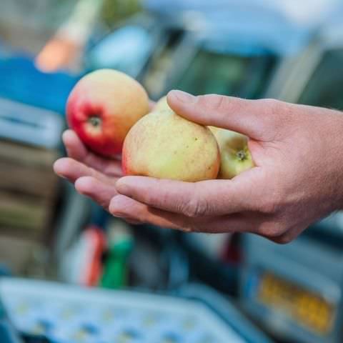 Marché Paysan - SARREGUEMINES - 16 octobre 2016