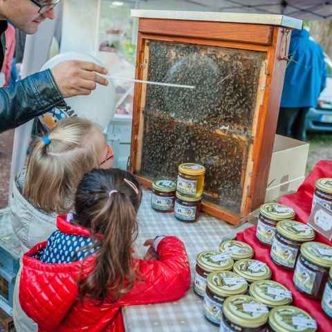 Marché Paysan - SARREGUEMINES - 16 octobre 2016