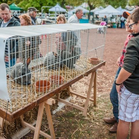 Marché Paysan - SARREGUEMINES - 16 octobre 2016