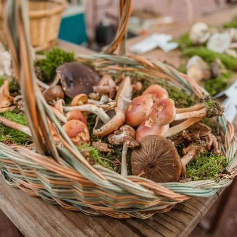 Marché Paysan - SARREGUEMINES - 16 octobre 2016