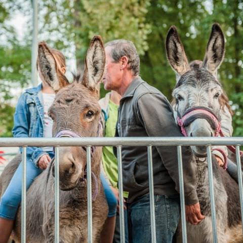 Marché Paysan - SARREGUEMINES - 16 octobre 2016