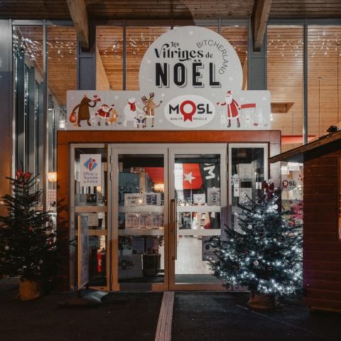 Vitrines de Noël du Bitcherland - Du 1er au 31 décembre 2021