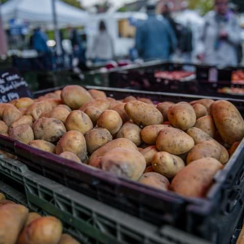 Marché Nocturne - GERSHEIM - 16 septembre 2022