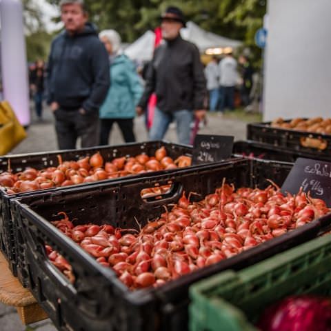 Marché Nocturne - GERSHEIM - 16 septembre 2022