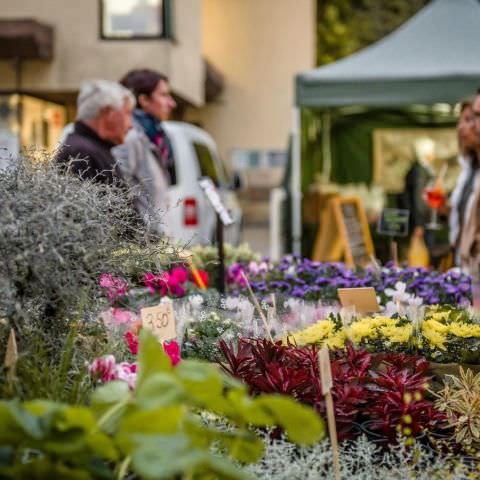 Marché Nocturne - GERSHEIM - 16 septembre 2022