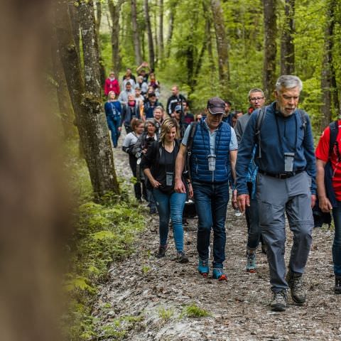 Balades & Découvertes au Simserhof / SIERSTHAL - 8 Mai 2023