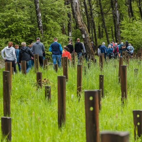 Balades & Découvertes au Simserhof / SIERSTHAL - 8 Mai 2023