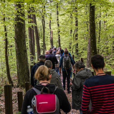 Balades & Découvertes au Simserhof / SIERSTHAL - 8 Mai 2023