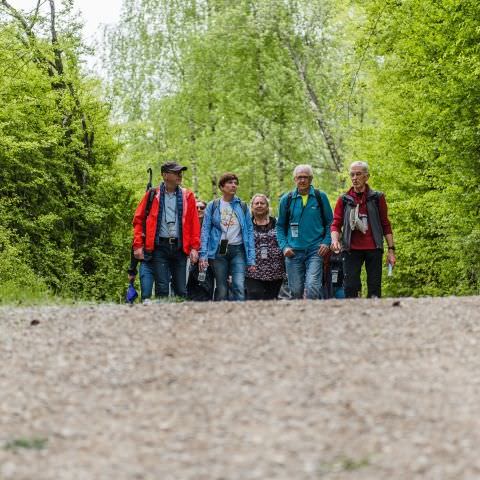 Balades & Découvertes au Simserhof / SIERSTHAL - 8 Mai 2023