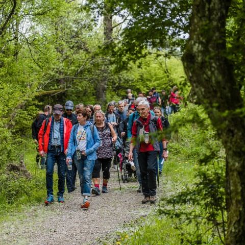 Balades & Découvertes au Simserhof / SIERSTHAL - 8 Mai 2023