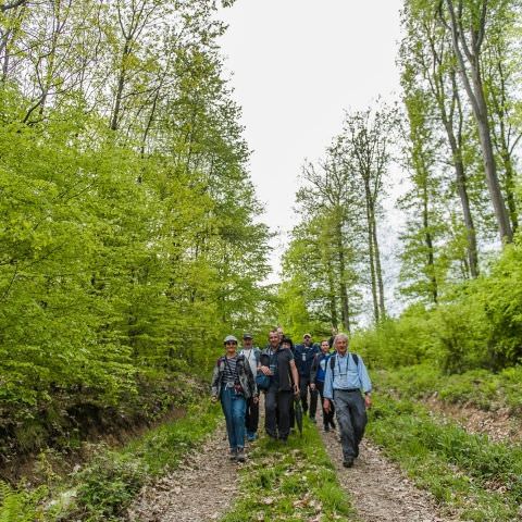 Balades & Découvertes au Simserhof / SIERSTHAL - 8 Mai 2023