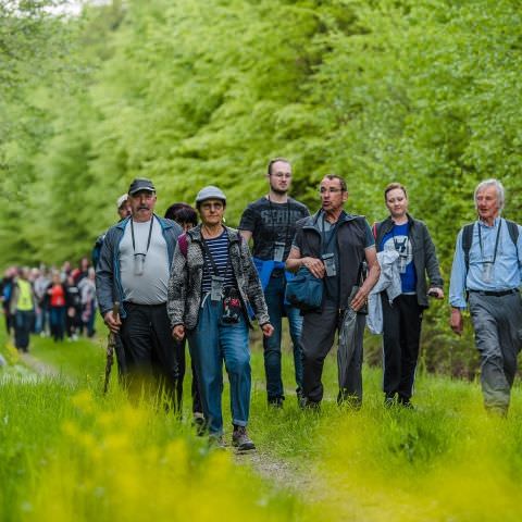 Balades & Découvertes au Simserhof / SIERSTHAL - 8 Mai 2023