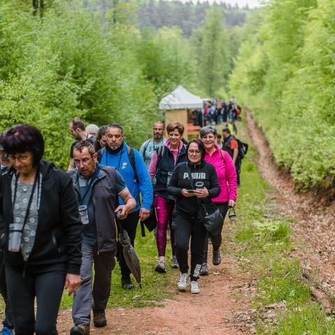 Balades & Découvertes au Simserhof / SIERSTHAL - 8 Mai 2023