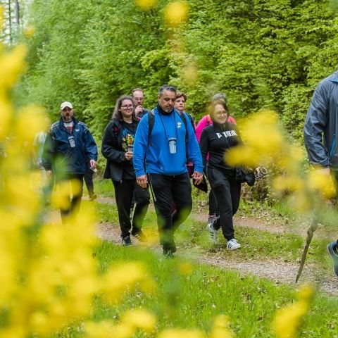 Balades & Découvertes au Simserhof / SIERSTHAL - 8 Mai 2023