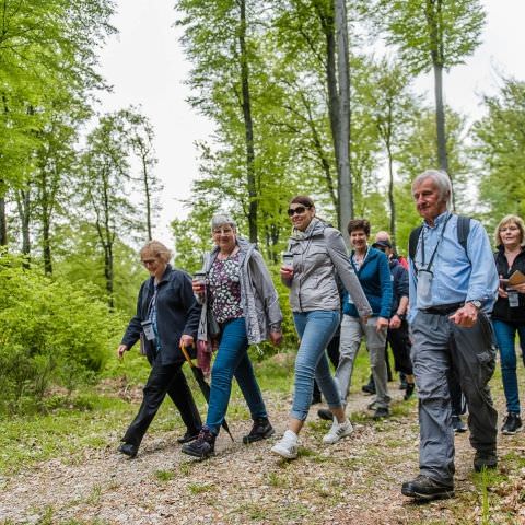 Balades & Découvertes au Simserhof / SIERSTHAL - 8 Mai 2023