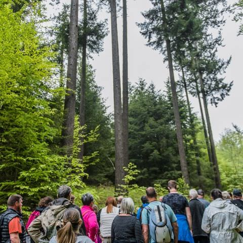 Balades & Découvertes au Simserhof / SIERSTHAL - 8 Mai 2023