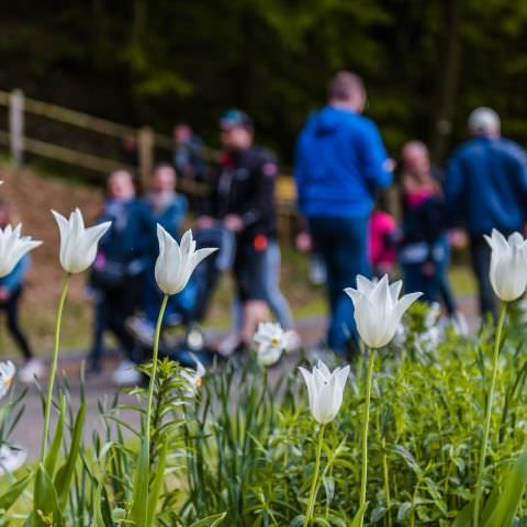 Balades & Découvertes au Simserhof / SIERSTHAL - 8 Mai 2023