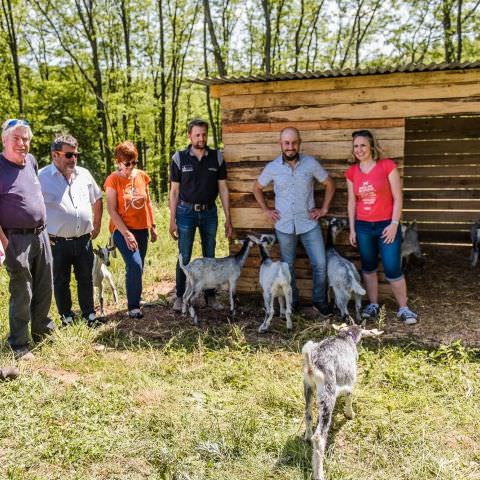 Mise en place d'un cheptel caprin / LENGELSHEIM - 01 juin 2023