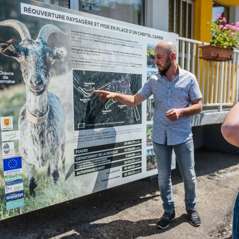 Mise en place d'un cheptel caprin / LENGELSHEIM - 01 juin 2023