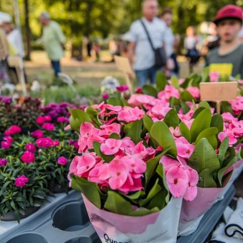 Marché Nocturne - BAERENTHAL - 22 juillet 2023