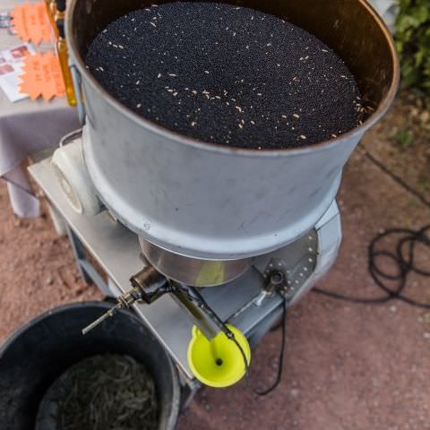 Marché Nocturne - BAERENTHAL - 22 juillet 2023