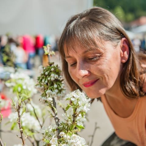 Marché Paysan - ST LOUIS-LES-BITCHE - 09 avril 2017