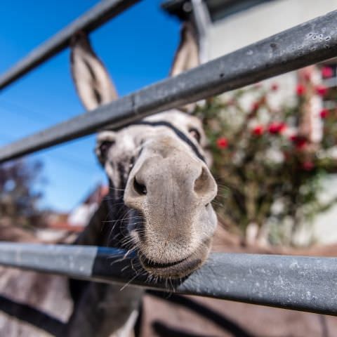 De Ferme En Ferme - 24 septembre 2023