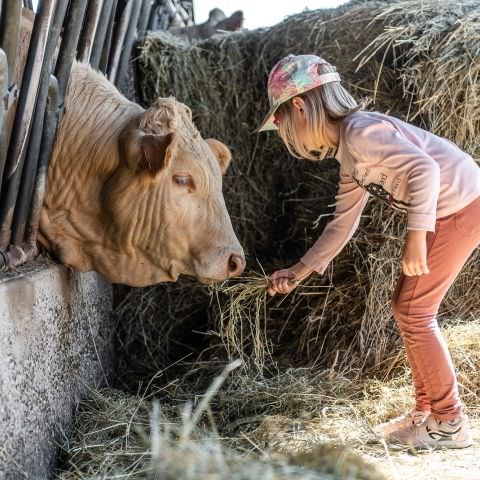 De Ferme En Ferme - 24 septembre 2023