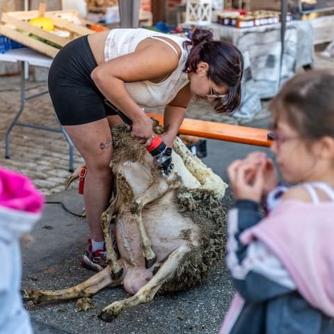 De Ferme En Ferme - 24 septembre 2023