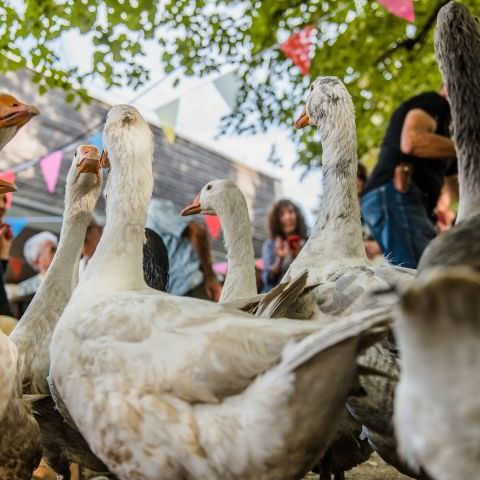 Marché Paysan - GROS RÉDERCHING - 01 octobre 2023