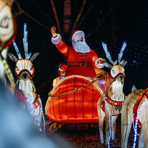 Place de Noël du Bitcherland - Du 06 au 30 décembre 2023