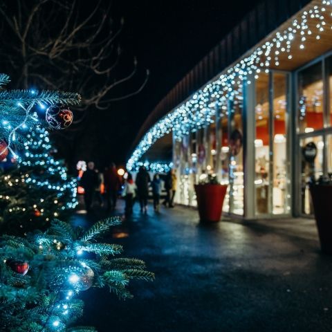 Place de Noël du Bitcherland - Du 06 au 30 décembre 2023