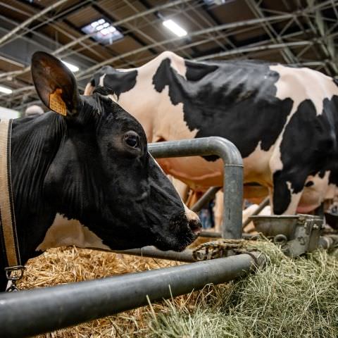 Salon International de l'Agriculture - Février 2024