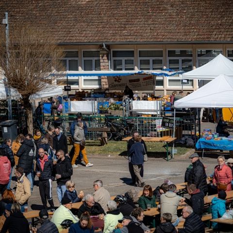 Marché paysan - ST LOUIS-LÈS-BITCHE - 6 avril 2025