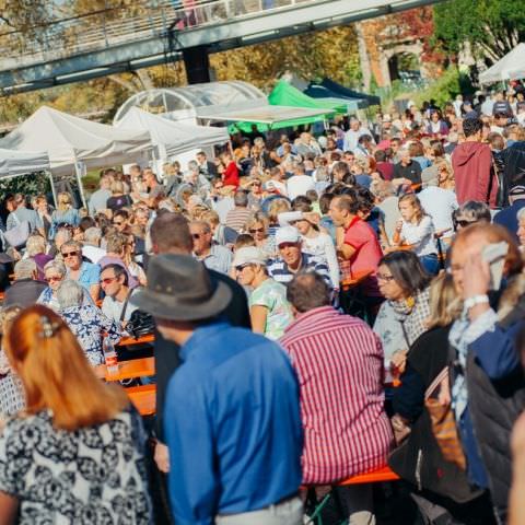 Marché Paysan - SARREGUEMINES - 15 octobre 2017