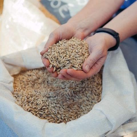 Marché Paysan - SARREGUEMINES - 15 octobre 2017