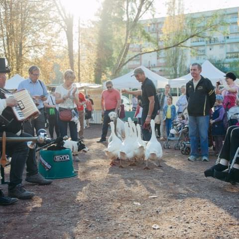Marché Paysan - SARREGUEMINES - 15 octobre 2017