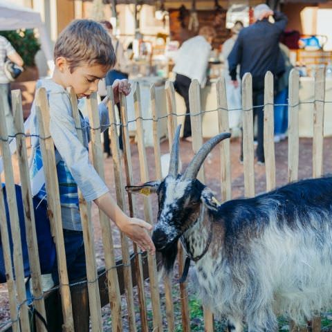 Marché Paysan - SARREGUEMINES - 15 octobre 2017
