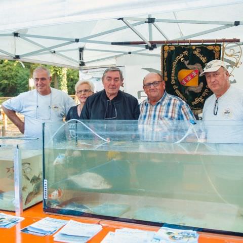 Marché Paysan - SARREGUEMINES - 15 octobre 2017