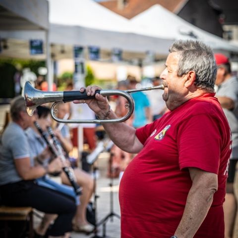 Marché paysan - ROHRBACH-LÈS-BITCHE - 21 juin 2025