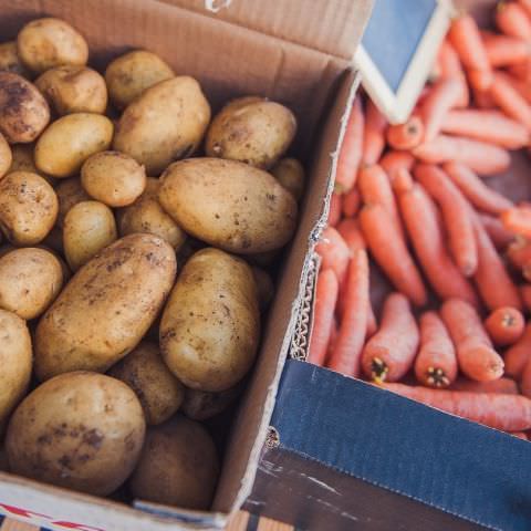 Marché Paysan Nocturne - LORQUIN - 15 juin 2016 