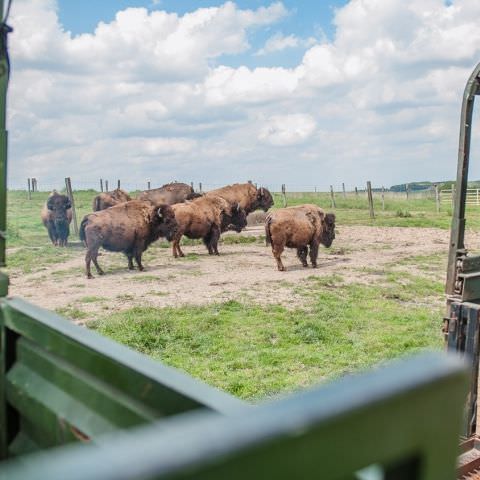 De Ferme En Ferme - 29 septembre 2019