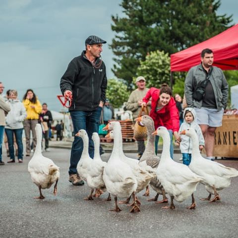 Marché Paysan Nocturne - HÉMING - 10 août 2016