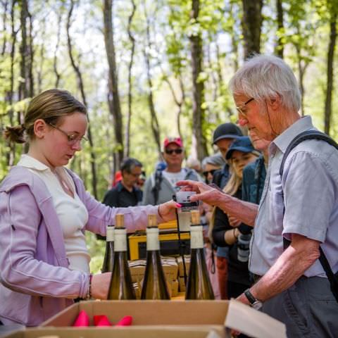 Balade gourmande & Marché des producteurs et artisans - Simserhof / SIERSTHAL - 8 mai 2022