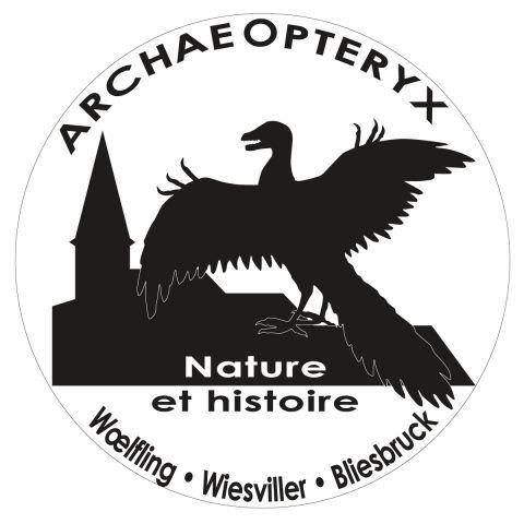 Archaeopteryx