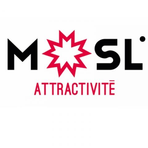 Moselle Attractivité